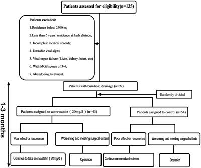 Hemoglobin Concentration May Affect the Effect of Atorvastin on Chronic Subdural Hematoma After Burr-Hole Drainage at High Altitude